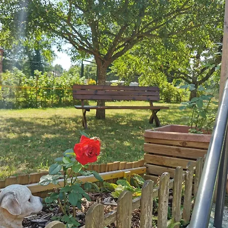 Apartament En Rez-de-chaussee Fenetrange